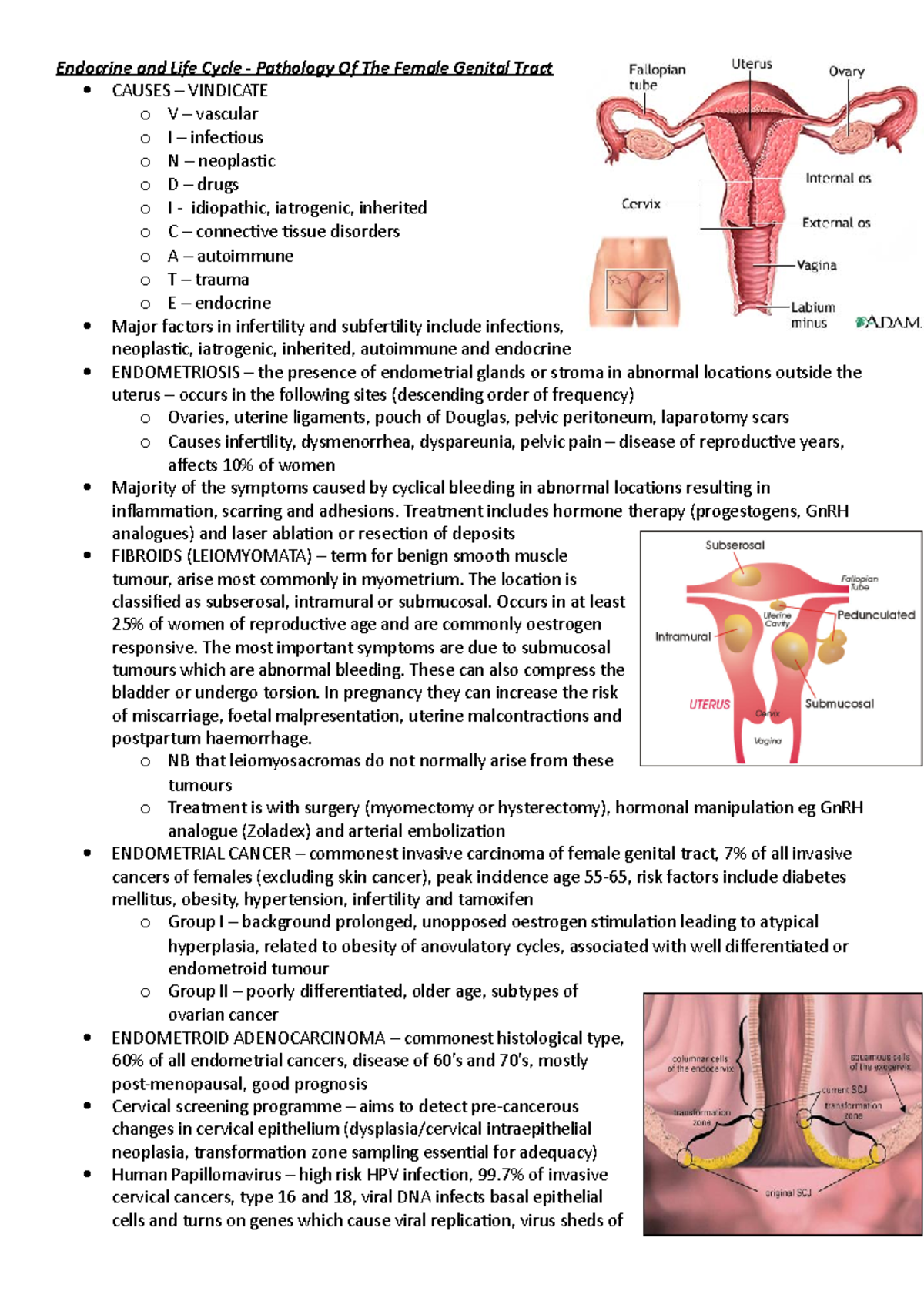 Endocrine and Life Cycle - female tract pathology - Endocrine and Life ...