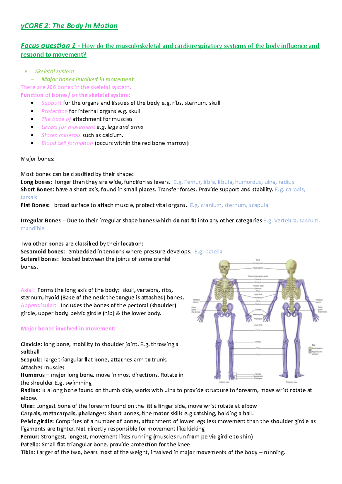 Core 2 - The Body In Motion - yCORE 2: The Body In Motion Focus ...