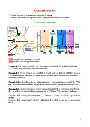 Phénomène De Conduction, Excitabilité Musculaire - Physiologie ...