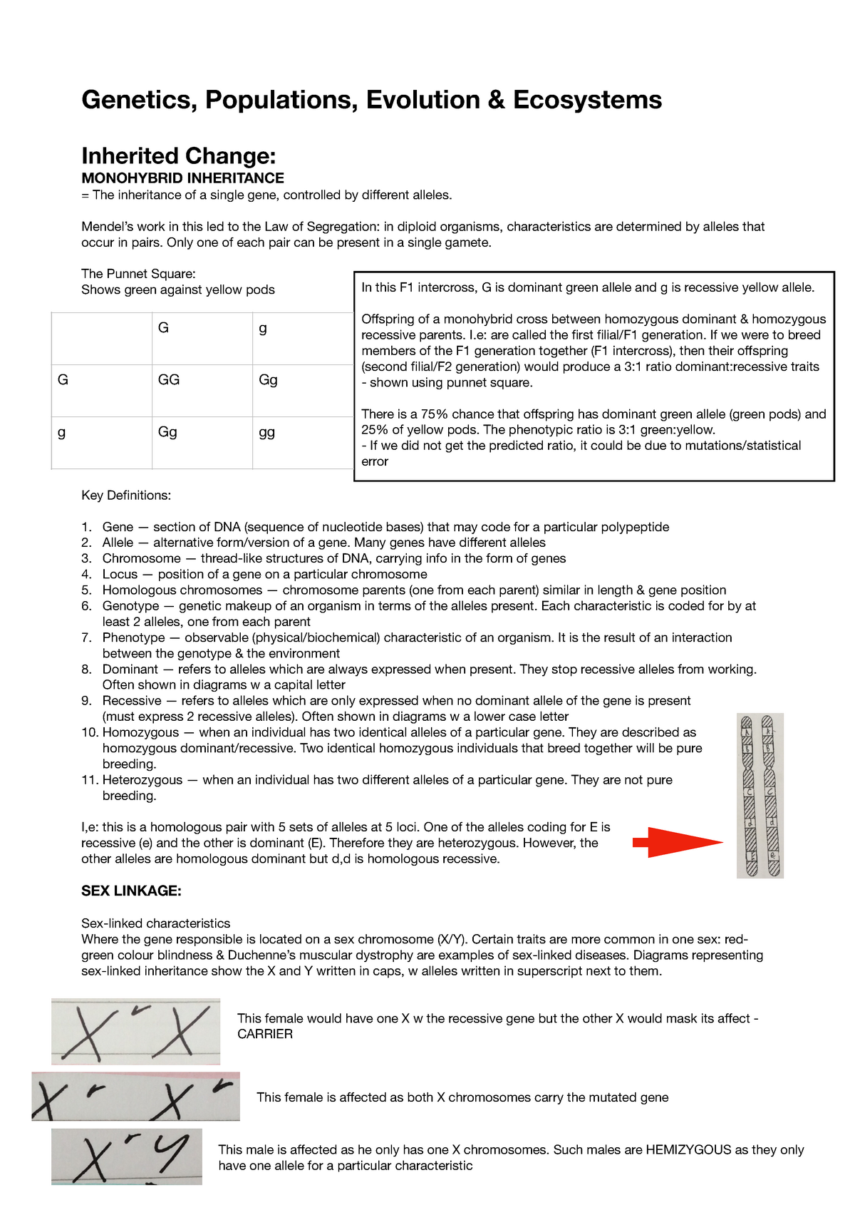 Genetics, Populations, Evolution & Ecosystems - Genetics, Populations ...