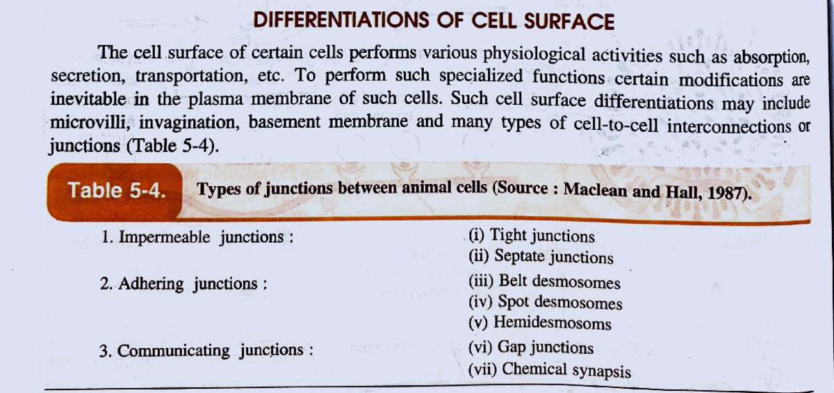 Differentiations Of Cell Surface - DIFFERENTIATIONS OF CELL SURFACE The ...