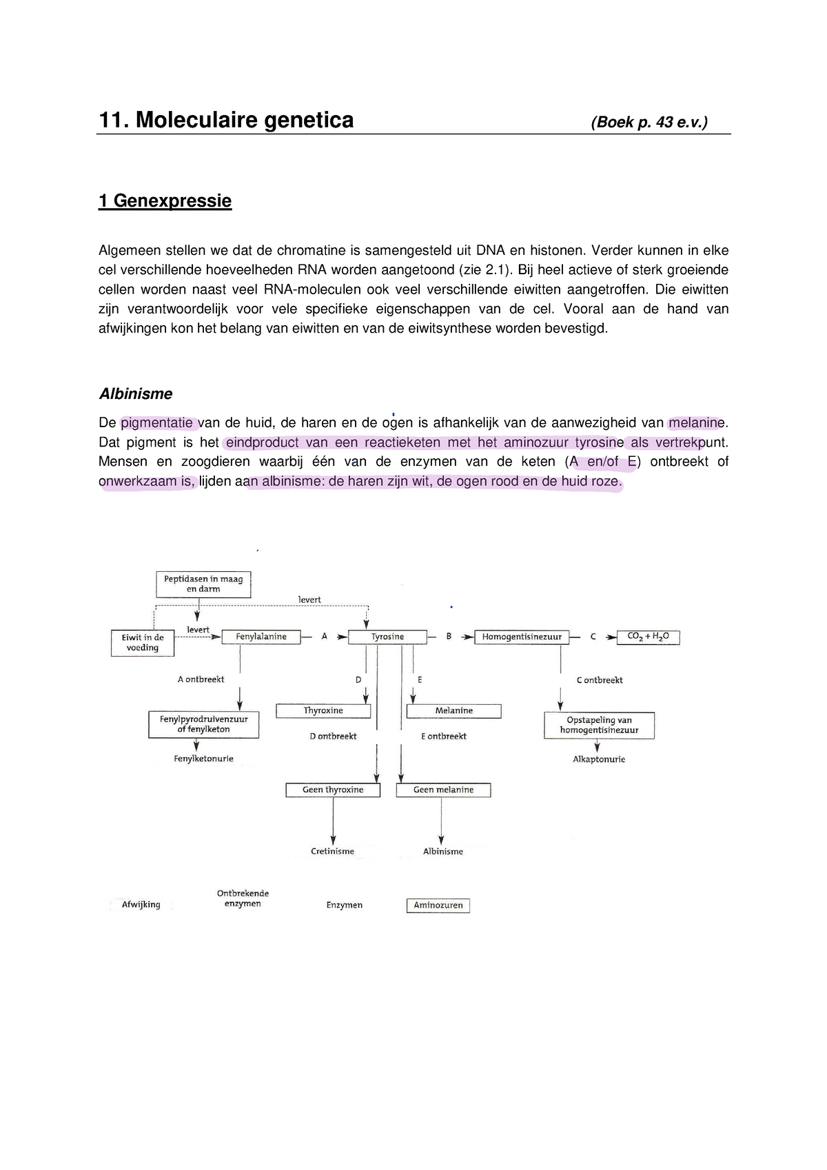 Moleculaire Genetica - 11. Moleculaire Genetica (Boek P. 43 E.) 1 ...