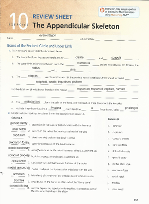 Ap Lab Ex 04 Review Sheet Chapter 4 The Cell Anatomy And Division