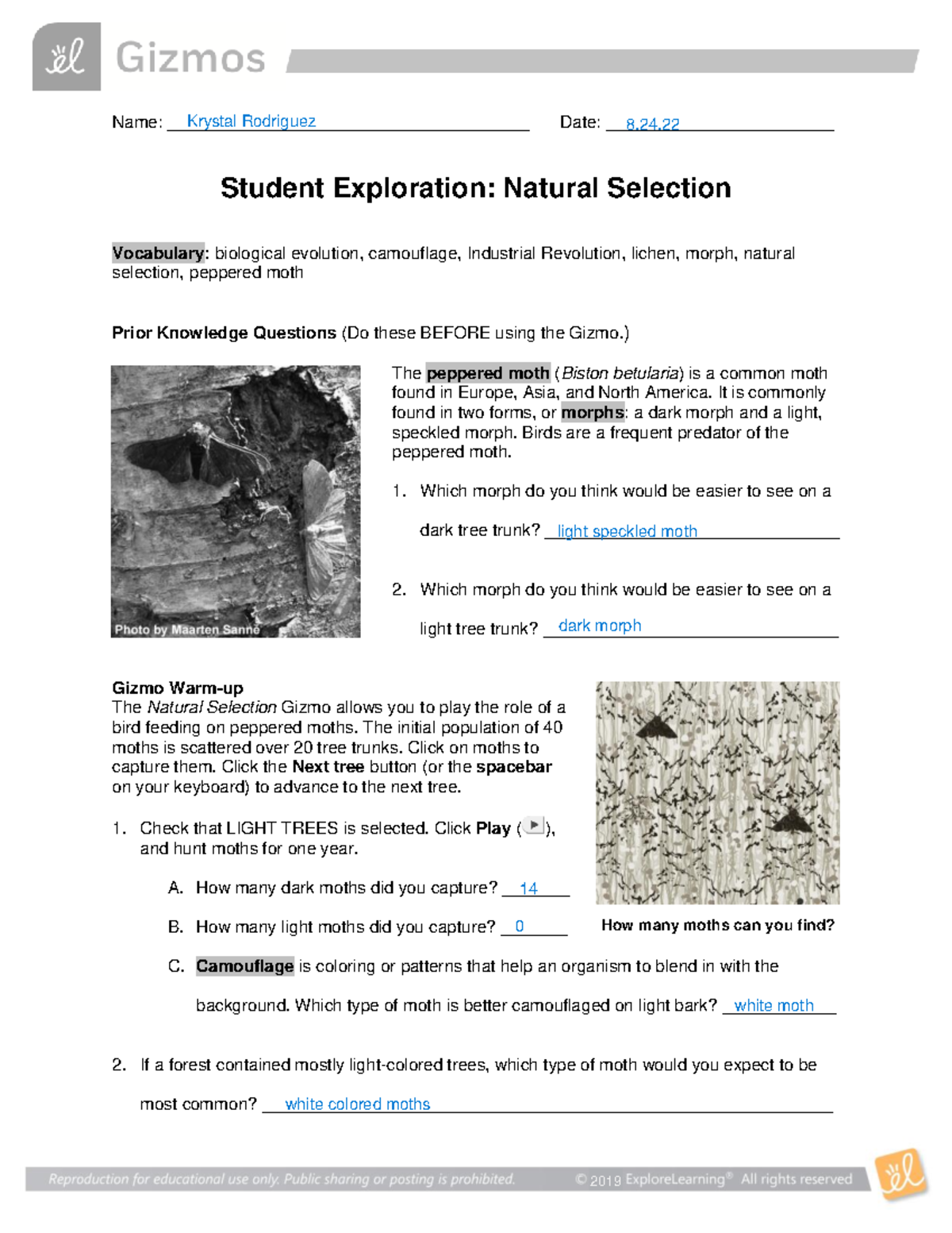 Unlocking Evolution: A Student'S Guide To Natural Selection - tuhl4cf