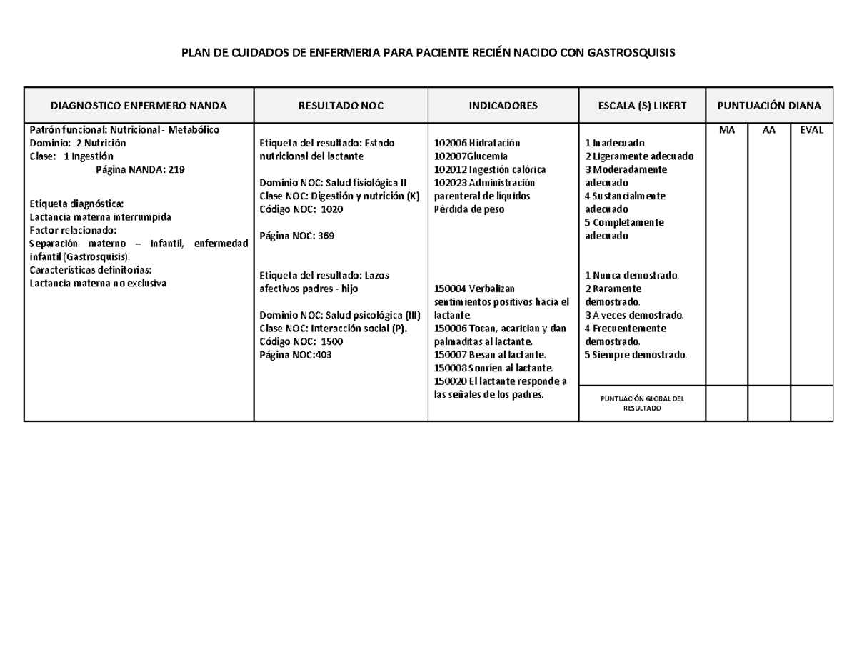 Gastrosquisis place - PLAN DE CUIDADOS DE ENFERMERIA PARA PACIENTE