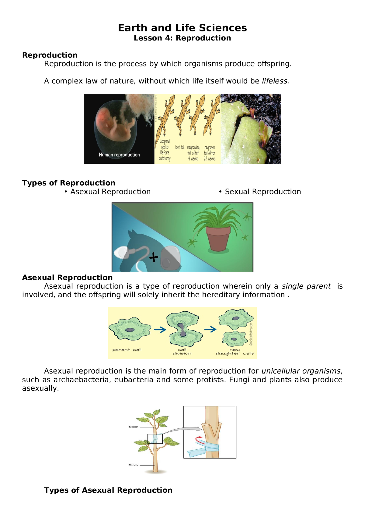 Reproduction - EARTH AND LIFE SCIENCE 11 - QUARTER 2 - LESSON 4 - Earth ...