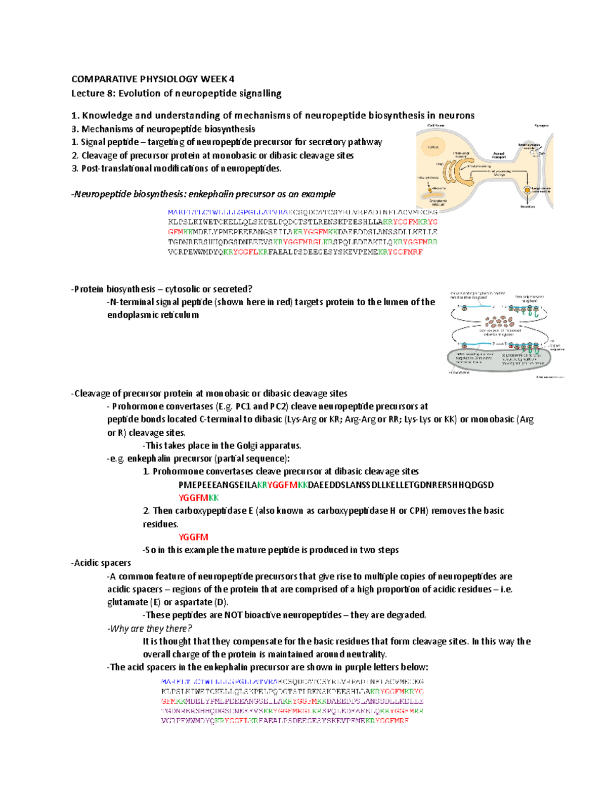 Evolution Of Neuropeptide Signalling - Knowledge And Understanding Of ...