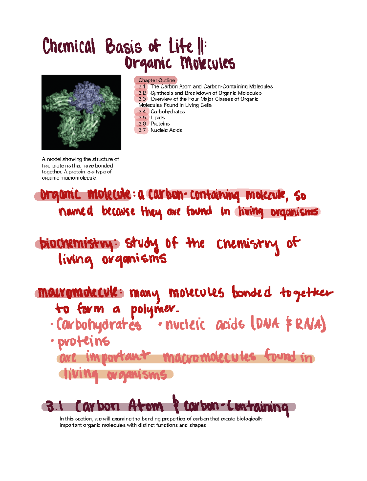 Chapter 3 notes - Chemical Basis of Life 11 Organic Molecules organic ...