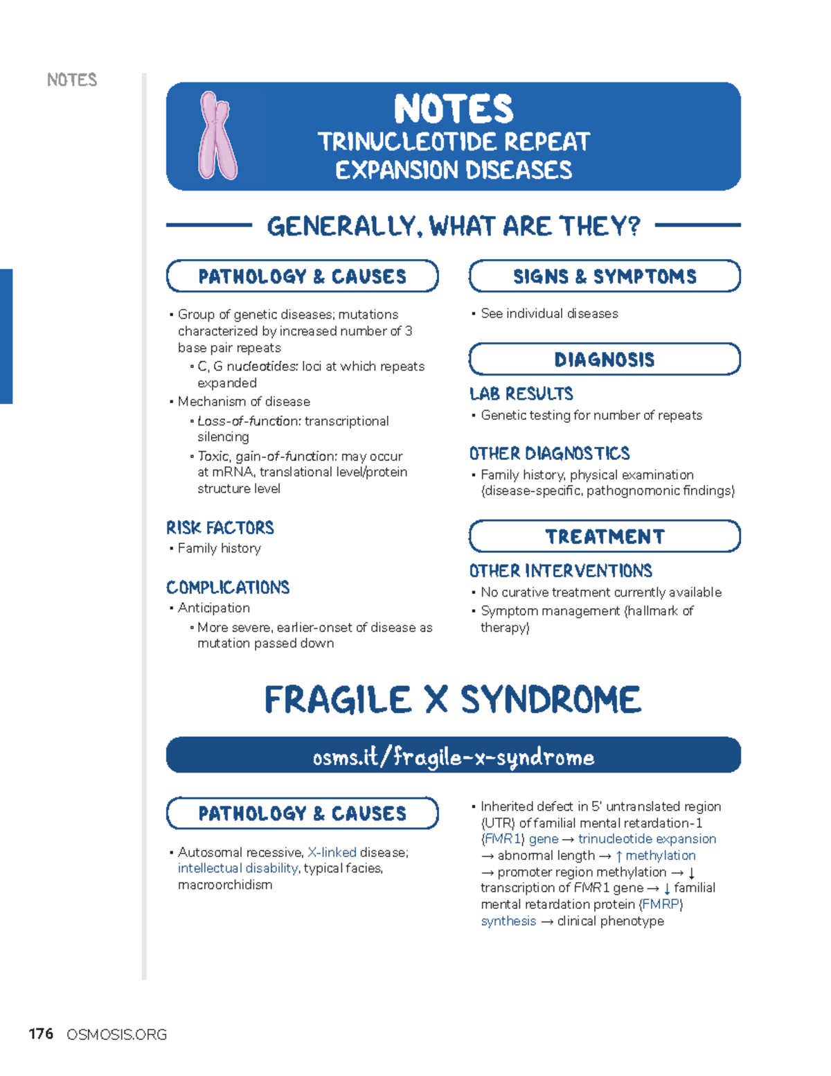 Trinucleotide repeat expansion diseases - NOTES NOTES TRINUCLEOTIDE ...