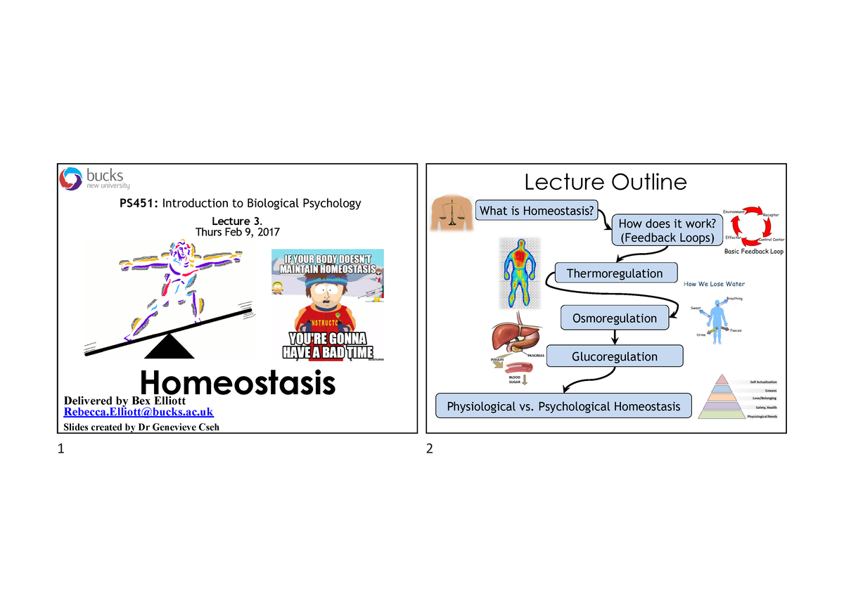 Lecture 3 - Homeostasis - Lecture 3. Thurs Feb 9, 2017 Homeostasis ...