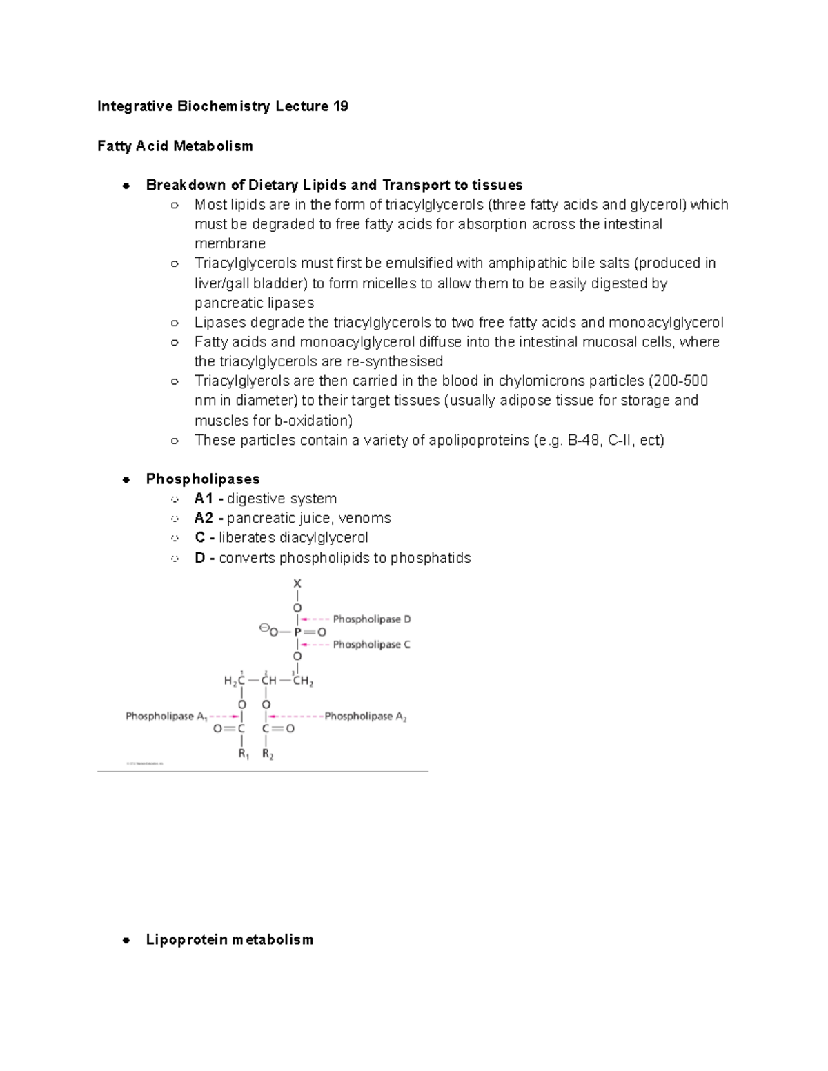 Fatty Acid Metabolism - Integrative Biochemistry Lecture 19 Fatty Acid ...
