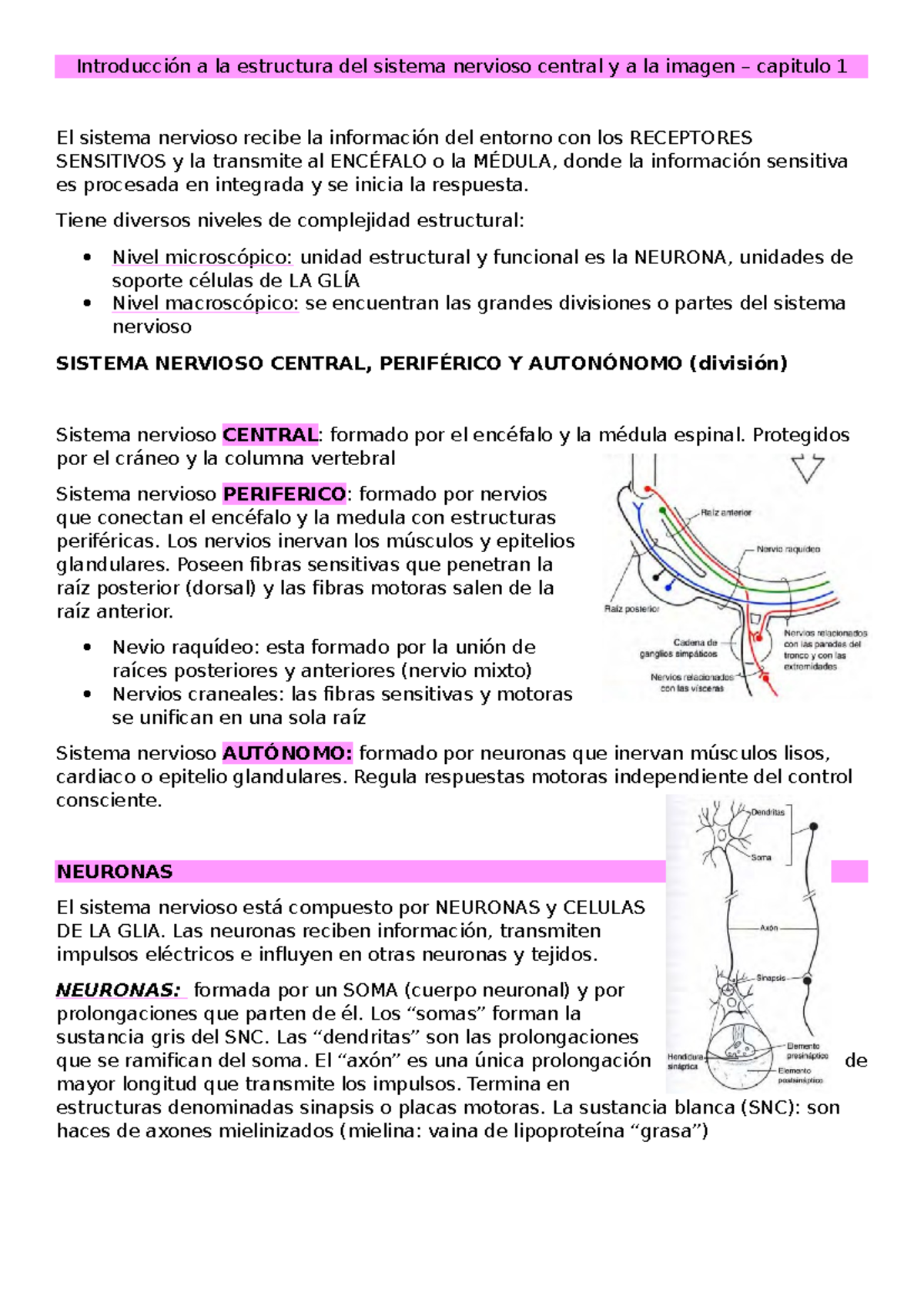 Resumen Neuro 1 - primer parcial - Introducción a la estructura del ...