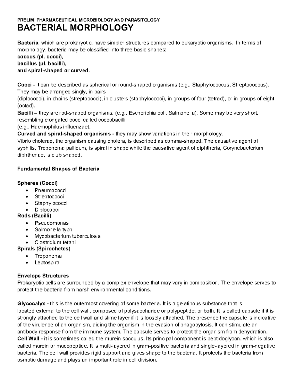 Bacterial Morphology PRELIM│PHARMACEUTICAL MICROBIOLOGY AND