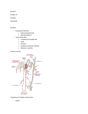 Structure and Function of the Renal and Urologic System - NUR 219 ...