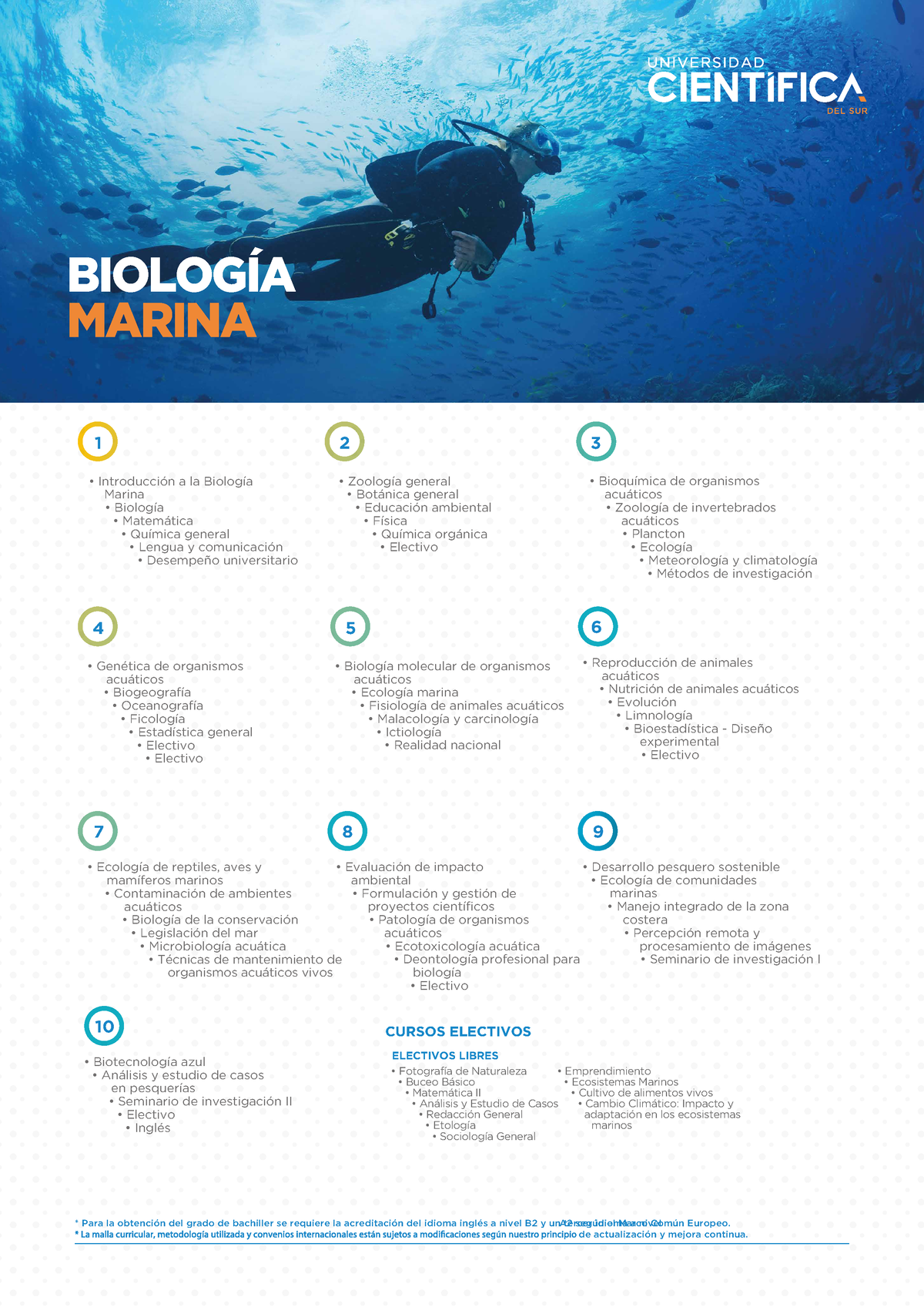 Malla-biologia-marina - RECONOCIMIENTOS INSTITUCIONALES BIOLOGÍA MARINA ...