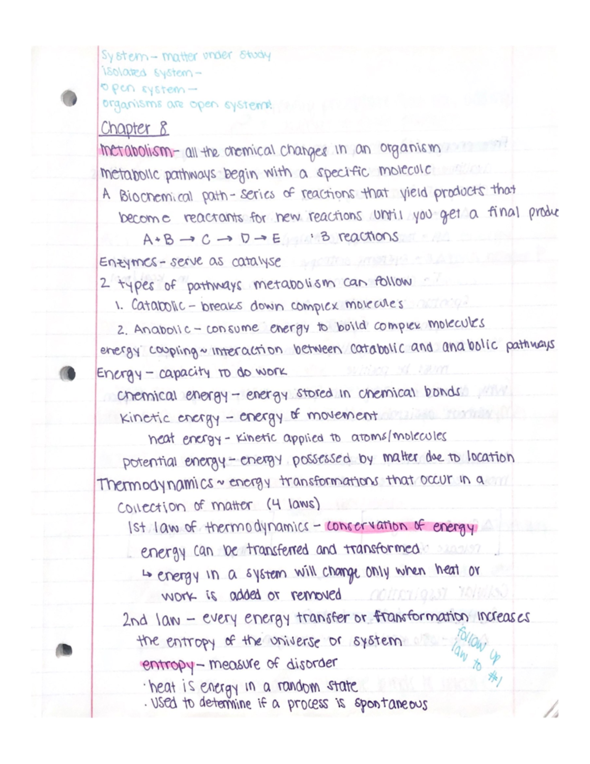 Metabolism and Energy - Studocu