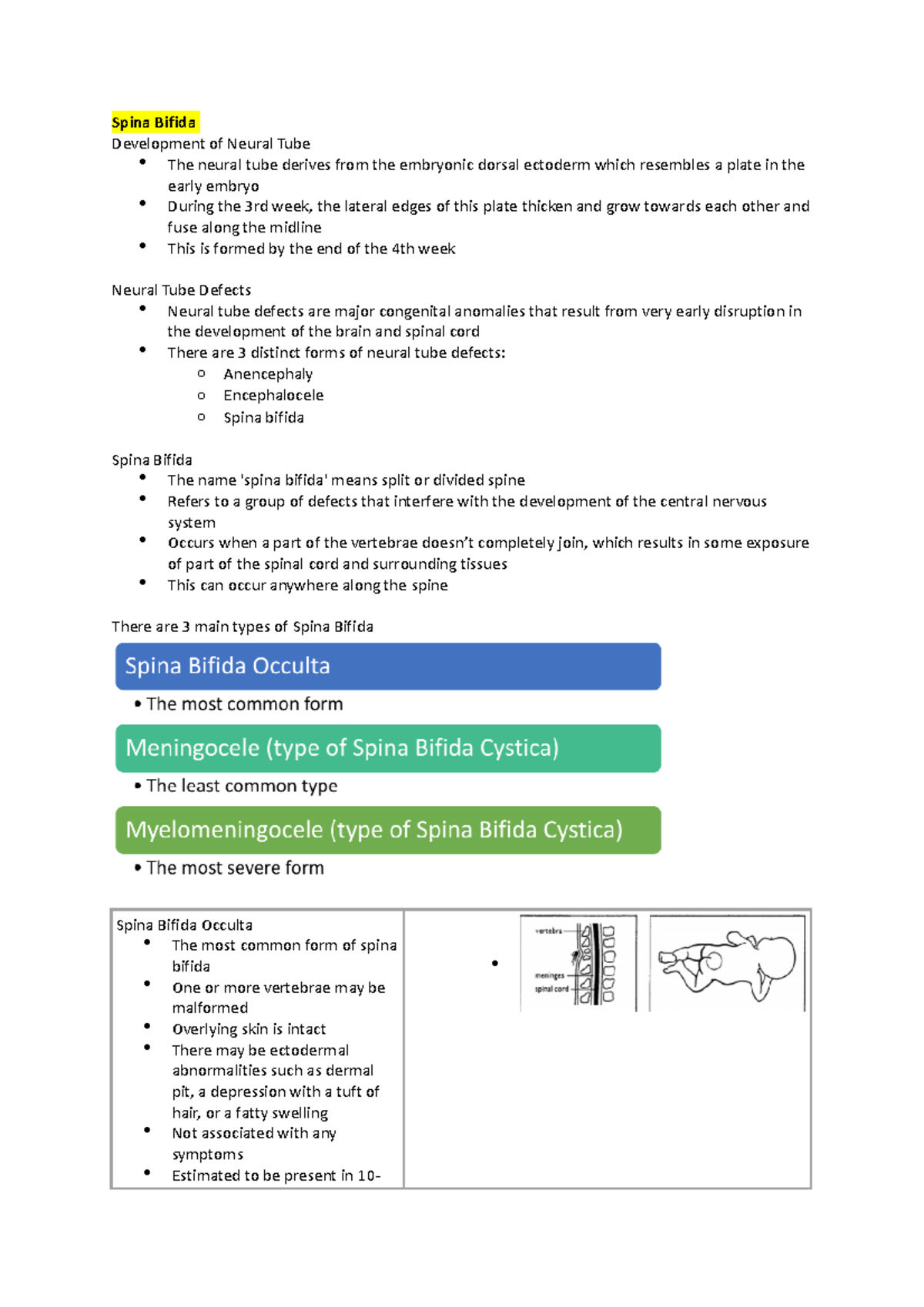 Week 3 - lecture notes - Spina Bifida Development of Neural Tube The ...