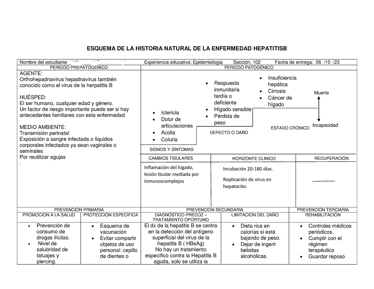 Historia Natural De La Enfermedad Hepatitis B - UNIVERSIDAD VERACRUZANA ...