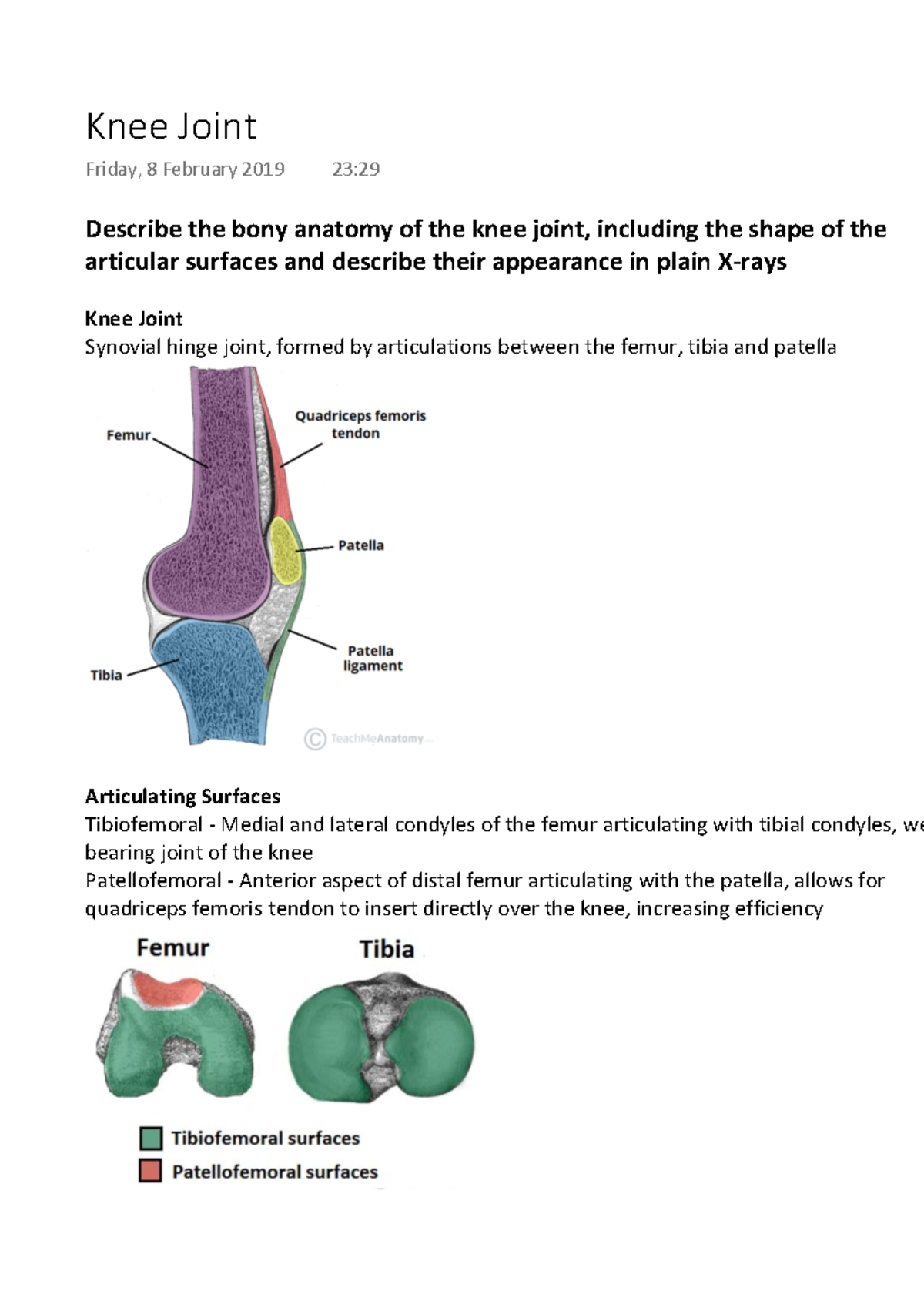 Knee Joint - Describe the bony anatomy of the knee joint, including the ...