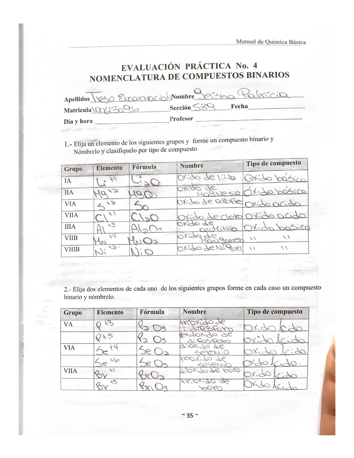 Protocolo Lab Quimica LAB Química Básica Studocu