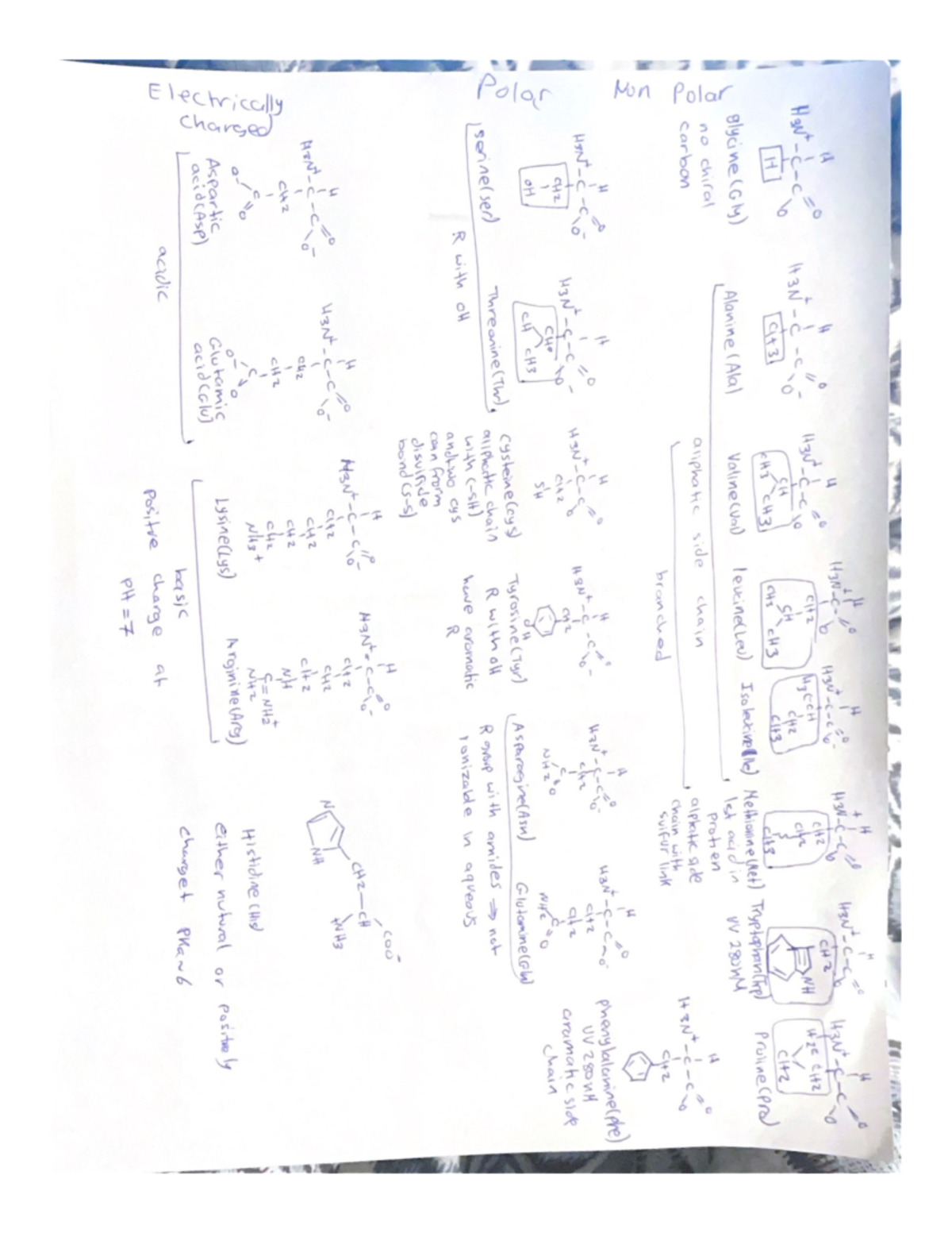 Alanine (Ala) - Easy way to memorize acids and bases - CHM 321/321L ...