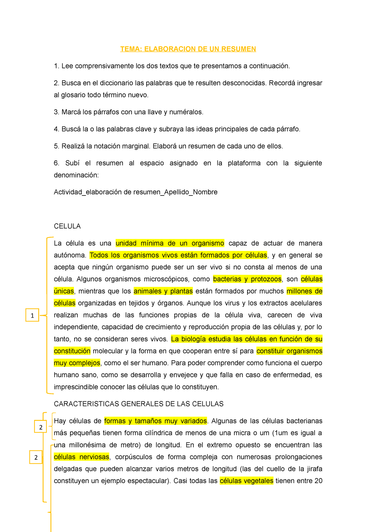 Elaboracion DE UN Resumen - TEMA: ELABORACION DE UN RESUMEN Lee ...