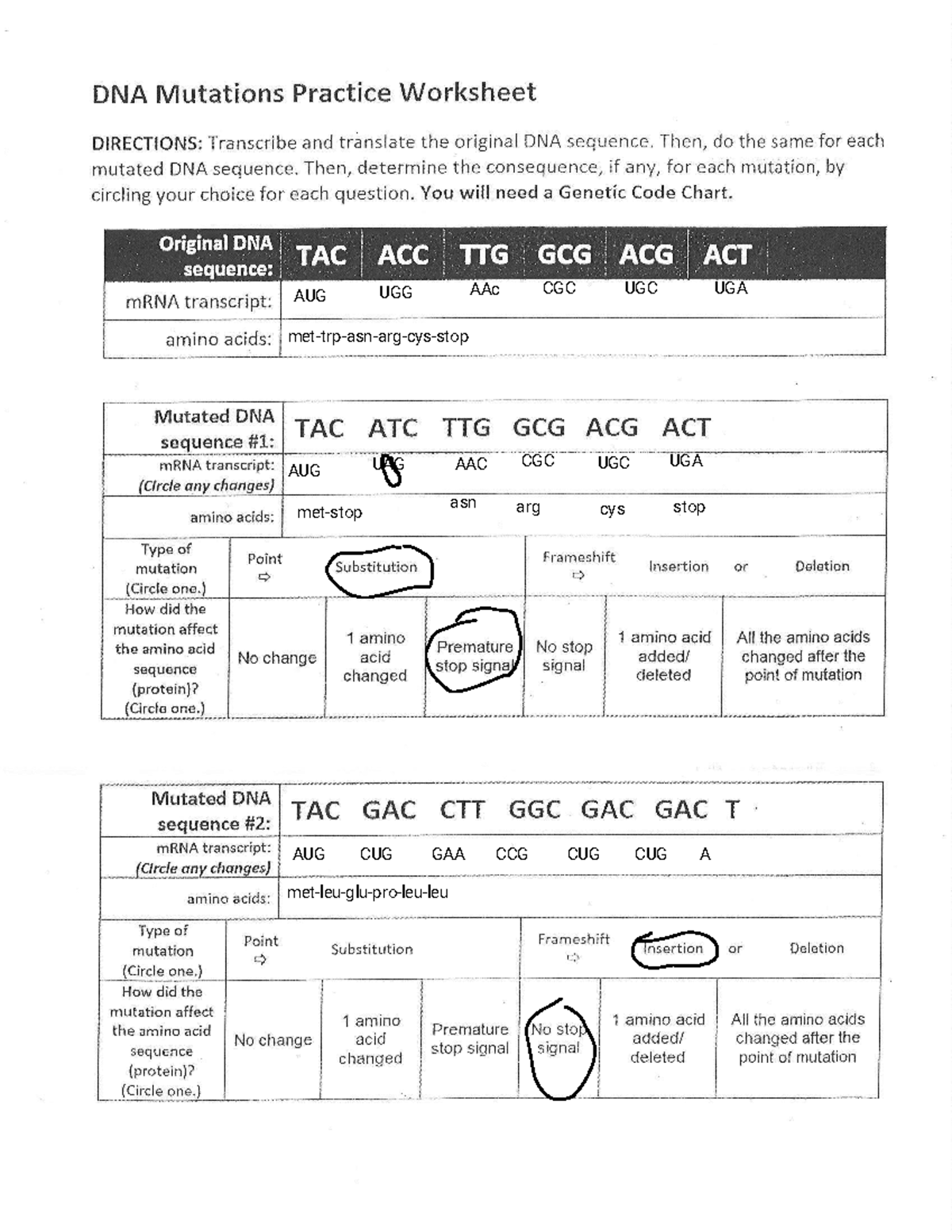 Jaden Dunn DNA Mutation Practice WS DNA Mutations Practice