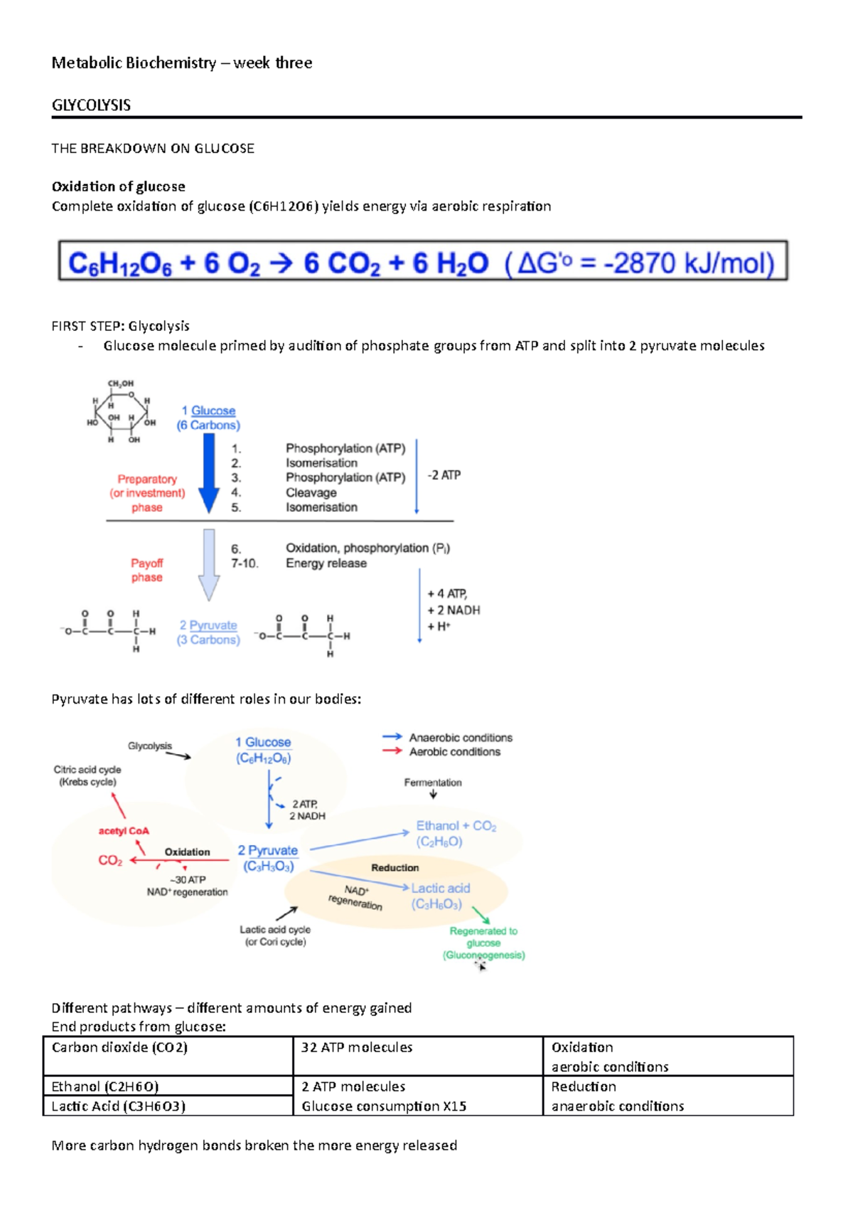 Metabolic Biochemistry Lecture Week 3 - Metabolic Biochemistry – Week ...