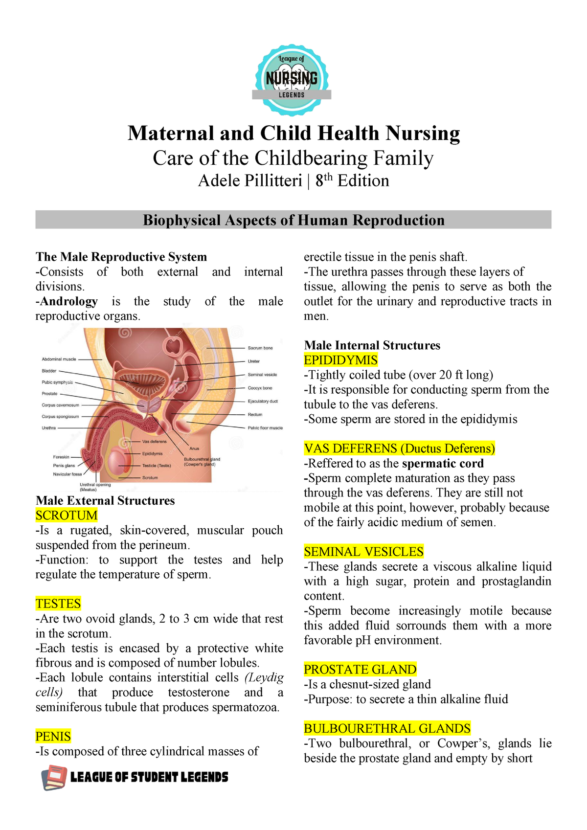 Maternal and Child Health Nursing - Andrology is the study of the male ...