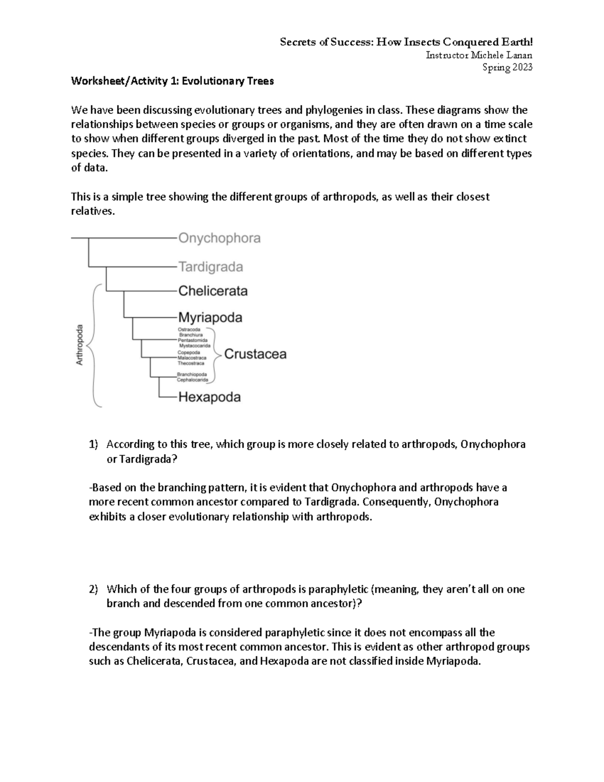 Activity 1 Spider Evolutionary Tree Worksheet - Secrets Of Success: How ...