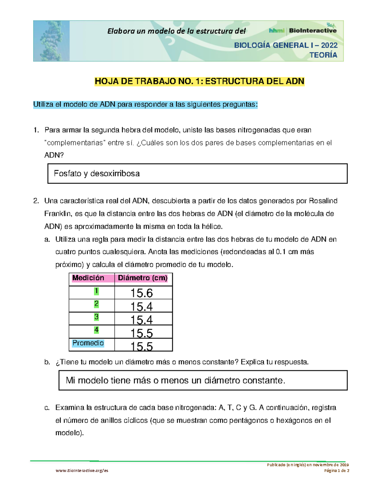 Hoja de trabajo, Estructura del ADN - BioInteractive/es Publicado (en  inglés) en noviembre de - Studocu