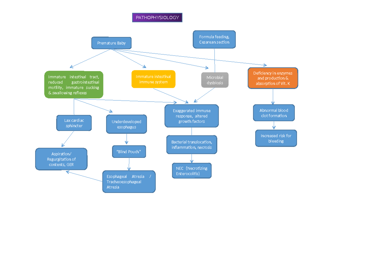 Pathophy of GI Premature Baby Immature intestinal tract, reduced