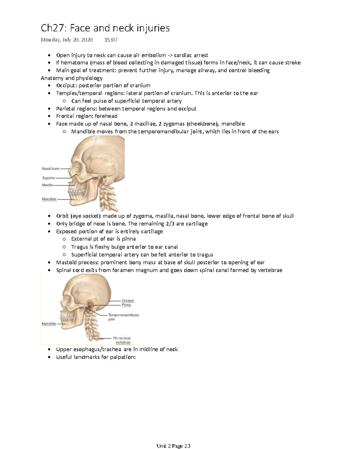 Ch27 Face And Neck Injuries - Open Injury To Neck Can Cause Air ...