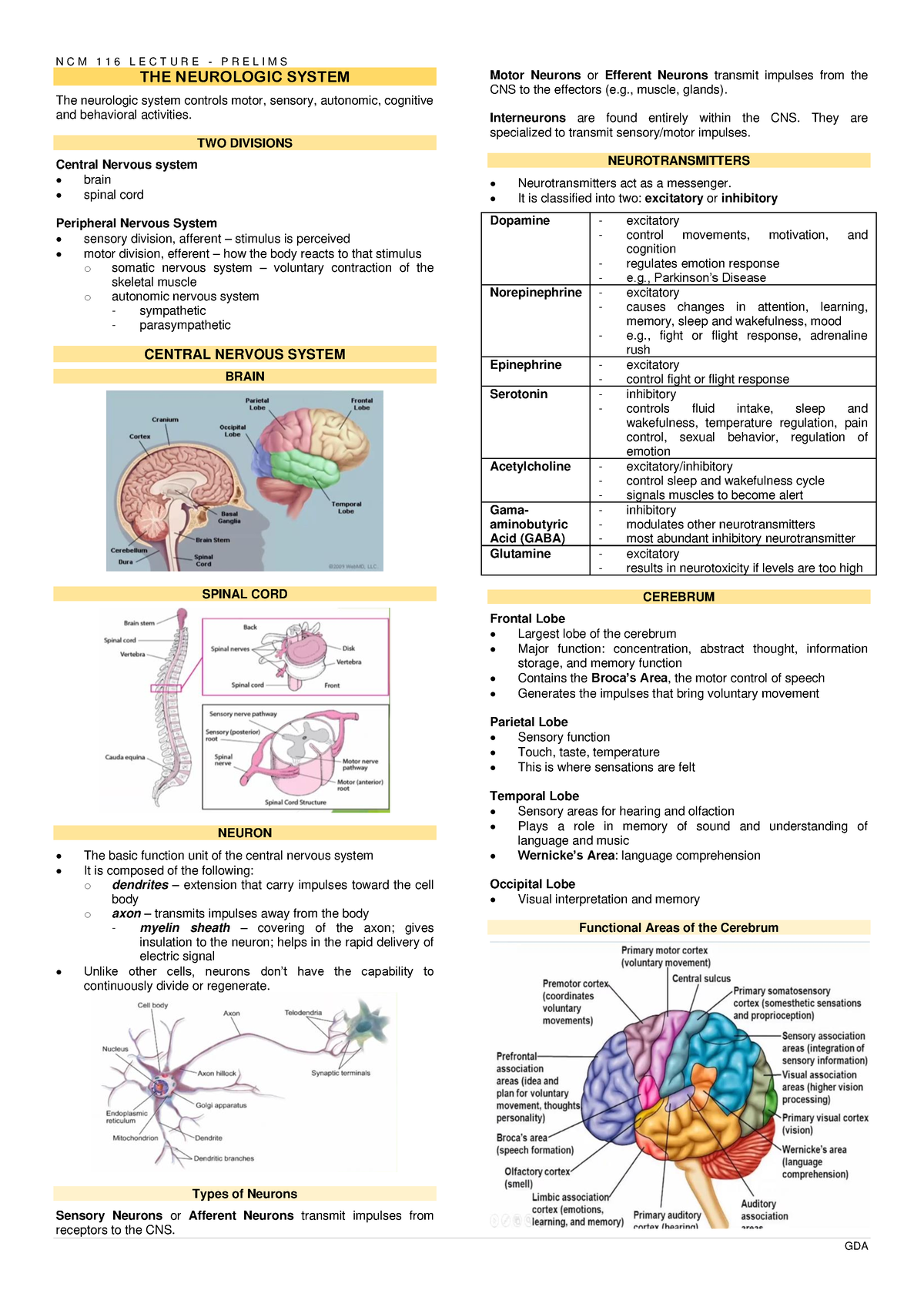 NCM 116 Lecture Prelims - THE NEUROLOGIC SYSTEM The neurologic system ...