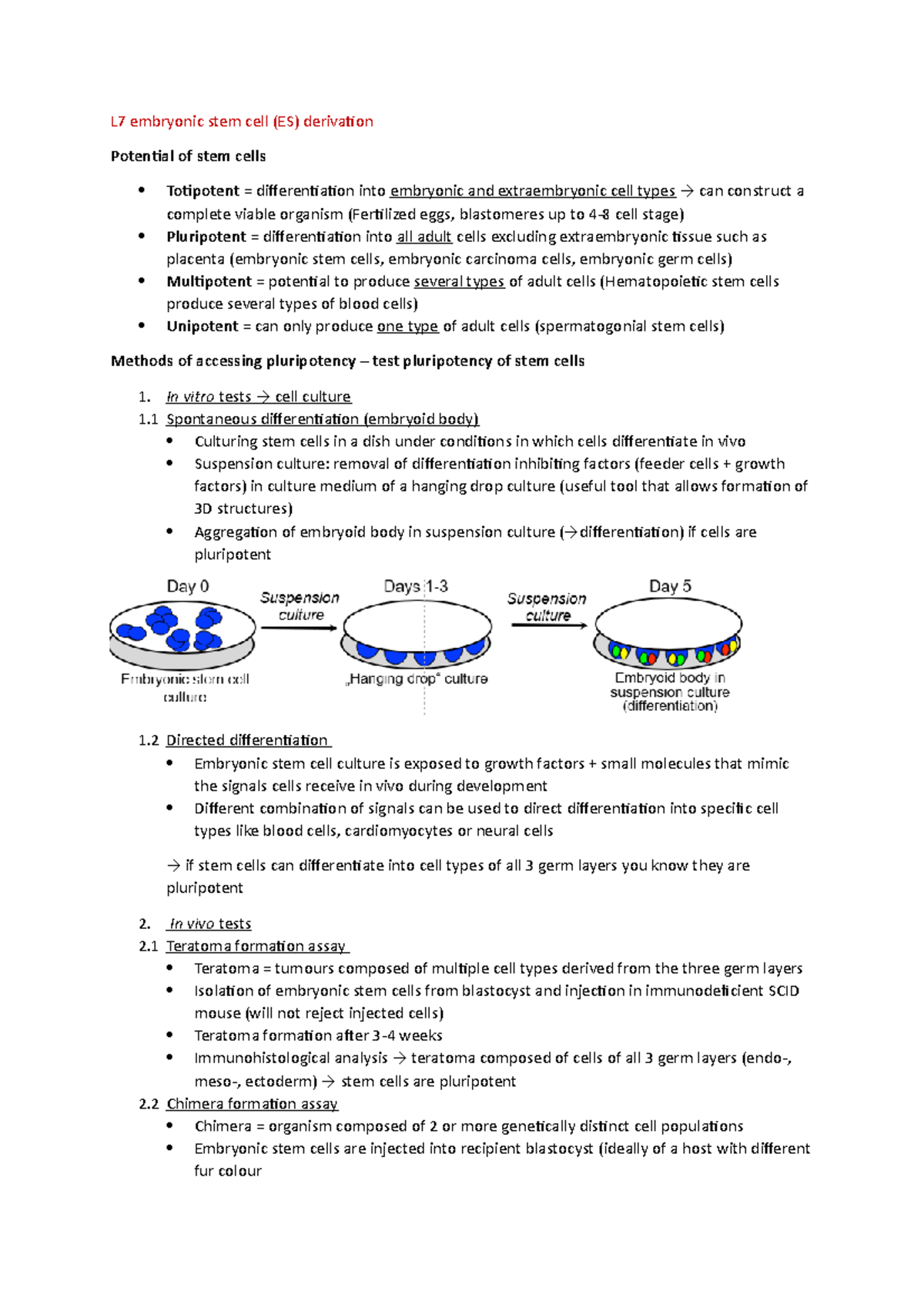 L 7 ESC derivation - WS 22 23 - L7 embryonic stem cell (ES) derivation ...
