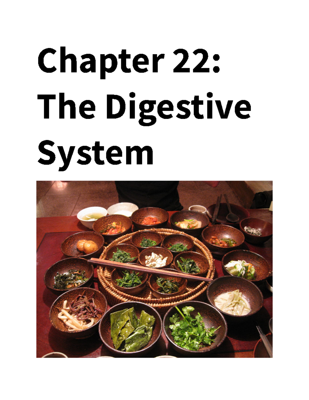 chapter-22-digestive-system-chapter-22-the-digestive-system-figure