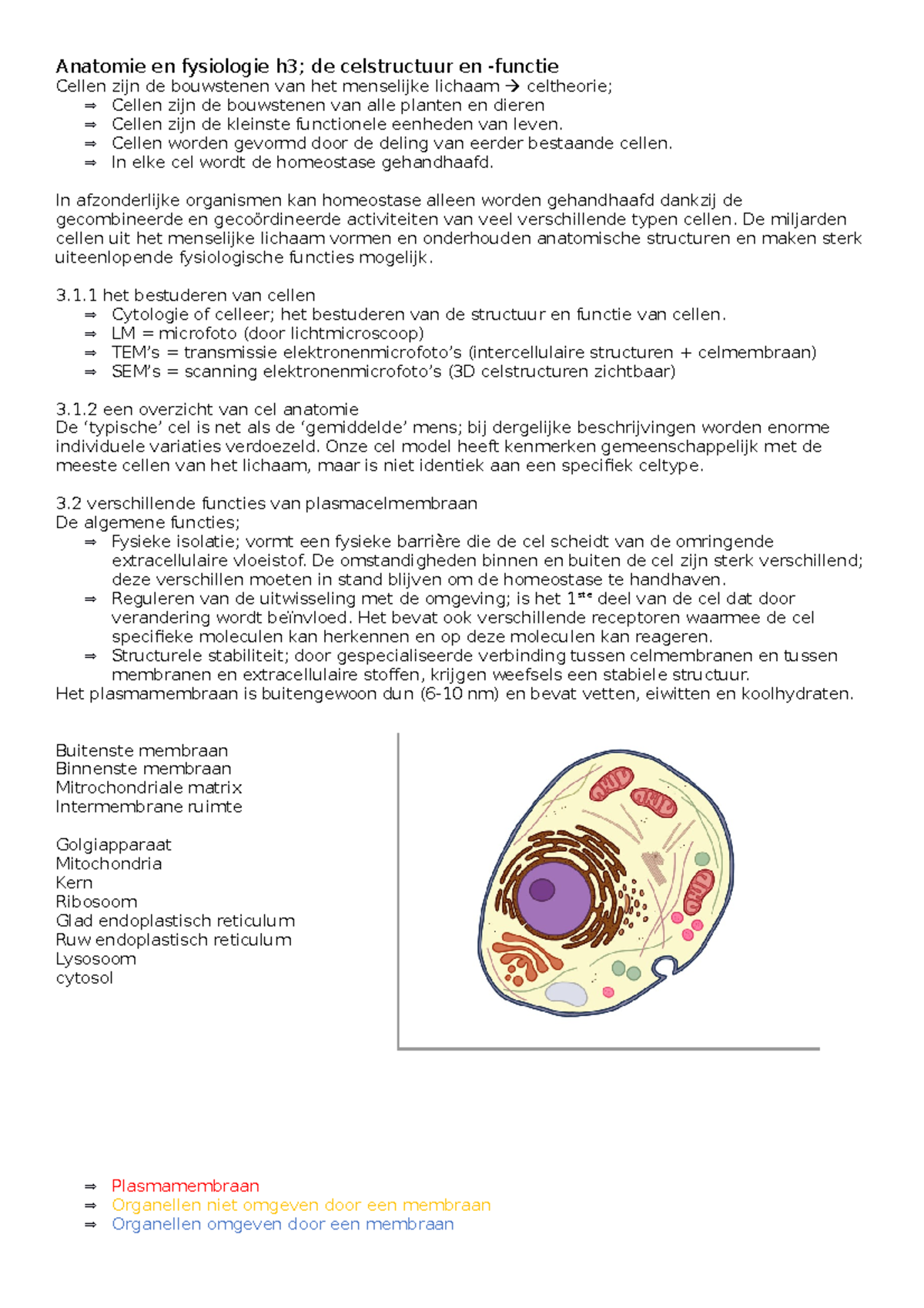 Anatomie En Fysiologie H3 - Cellen Worden Gevormd Door De Deling Van ...