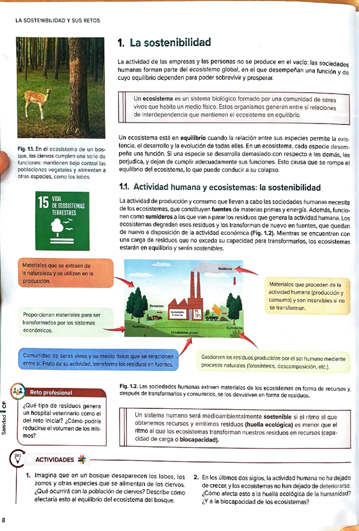 Sostenibilidad Tema 1 - tema 1 - LA SOSTENIBILIDAD Y SUS RETOS 1. La ...