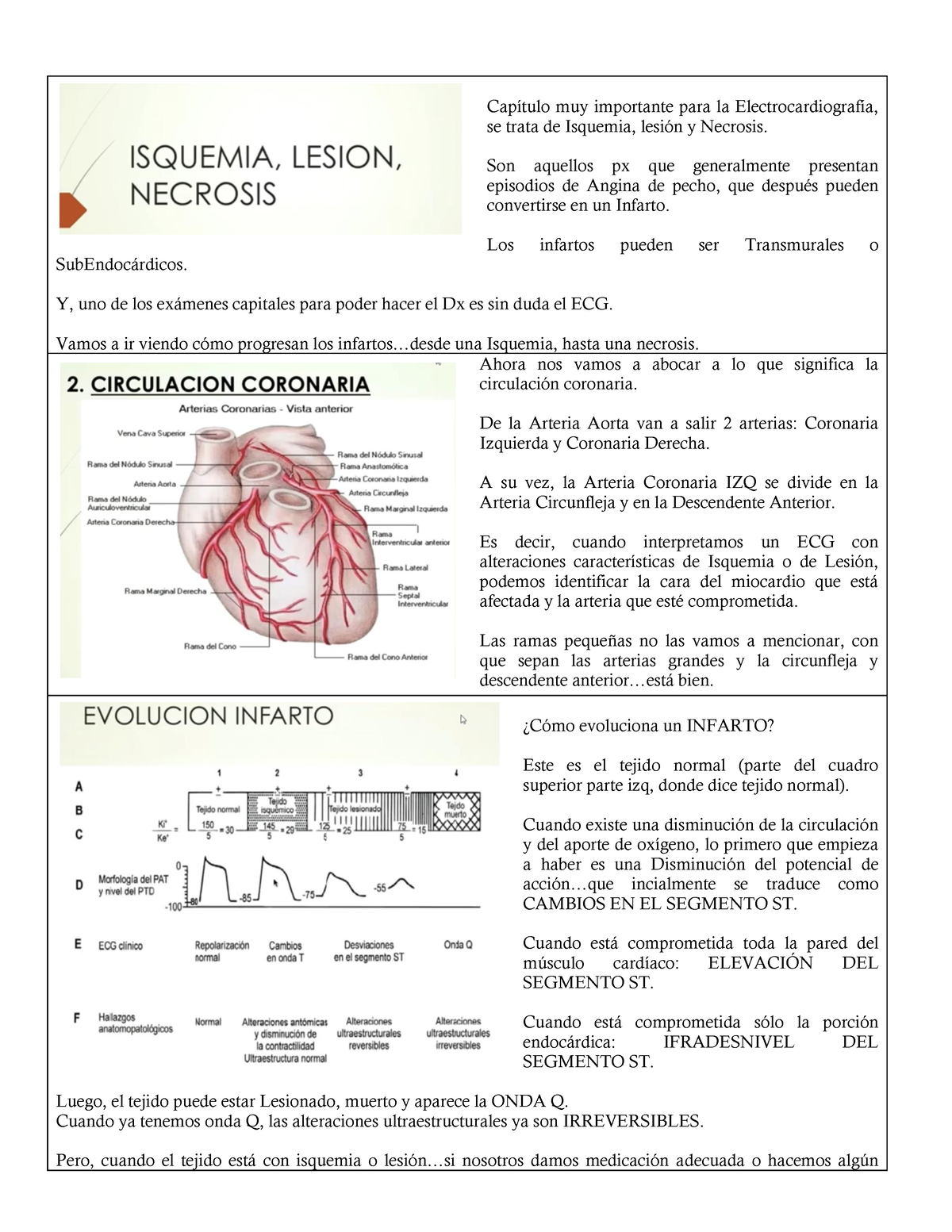 Isquemia Lesión Y Necrosis Capítulo Muy Importante Para La Electrocardiografía Se Trata De 9133