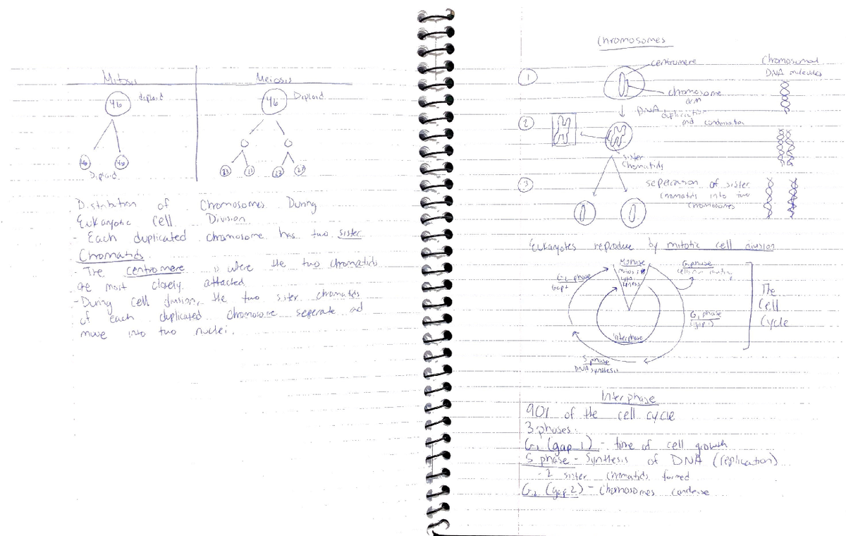 efb103-general-biology-ii-cell-biology-and-genetics-notes-efb103