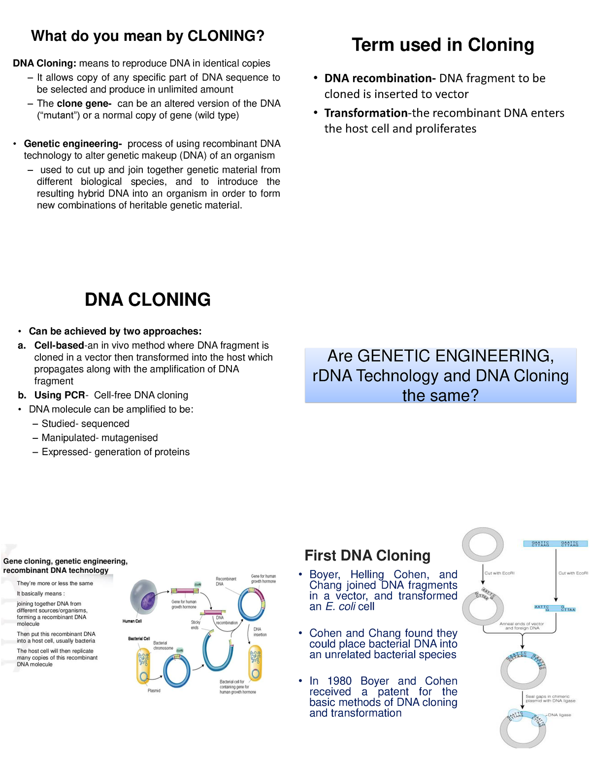 What Does Gene Cloning Mean