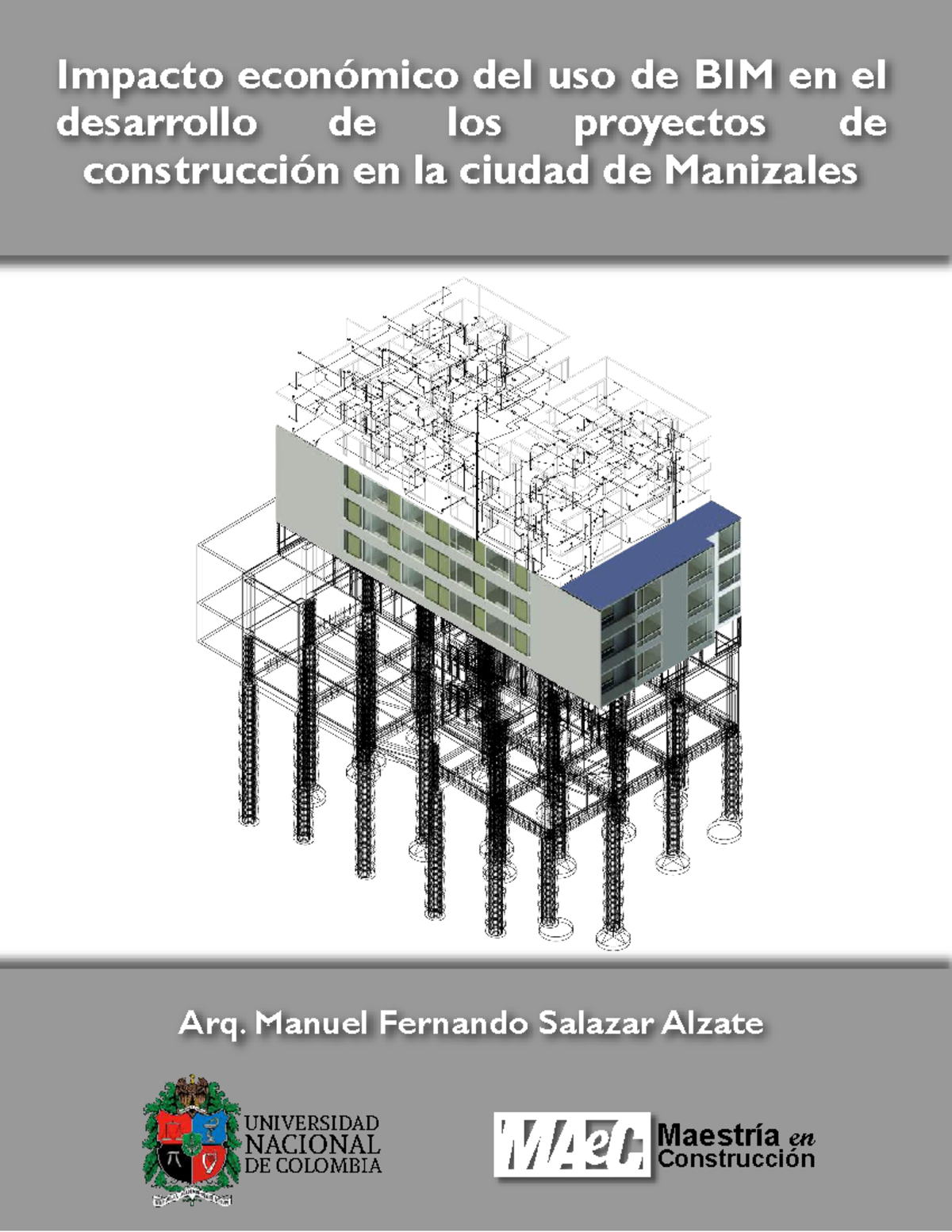 Libro Impacto economico del uso de BIM pdf - UNIVERSIDAD NACIONALDE ...