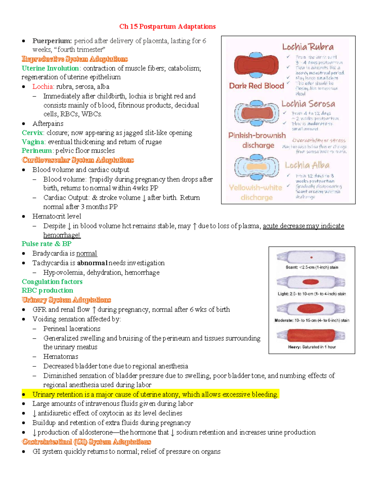 NUR 2230 Ch 15 Postpartum Adaptations - Ch 15 Postpartum Adaptations ...