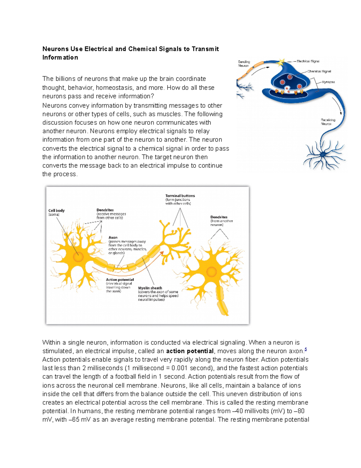 neurons-transmit-information-neurons-use-electrical-and-chemical