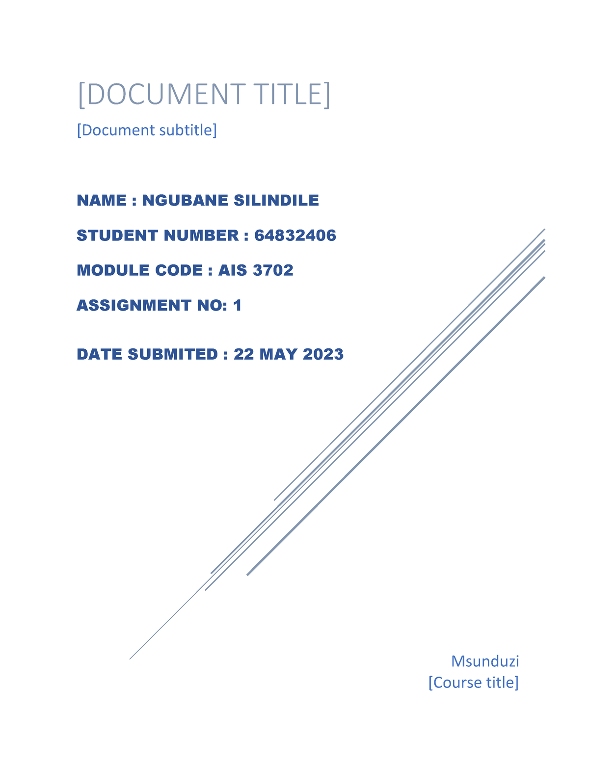 AIS3702 ASS 1 - Assignment 1 - Msunduzi [Course Title] [DOCUMENT TITLE ...