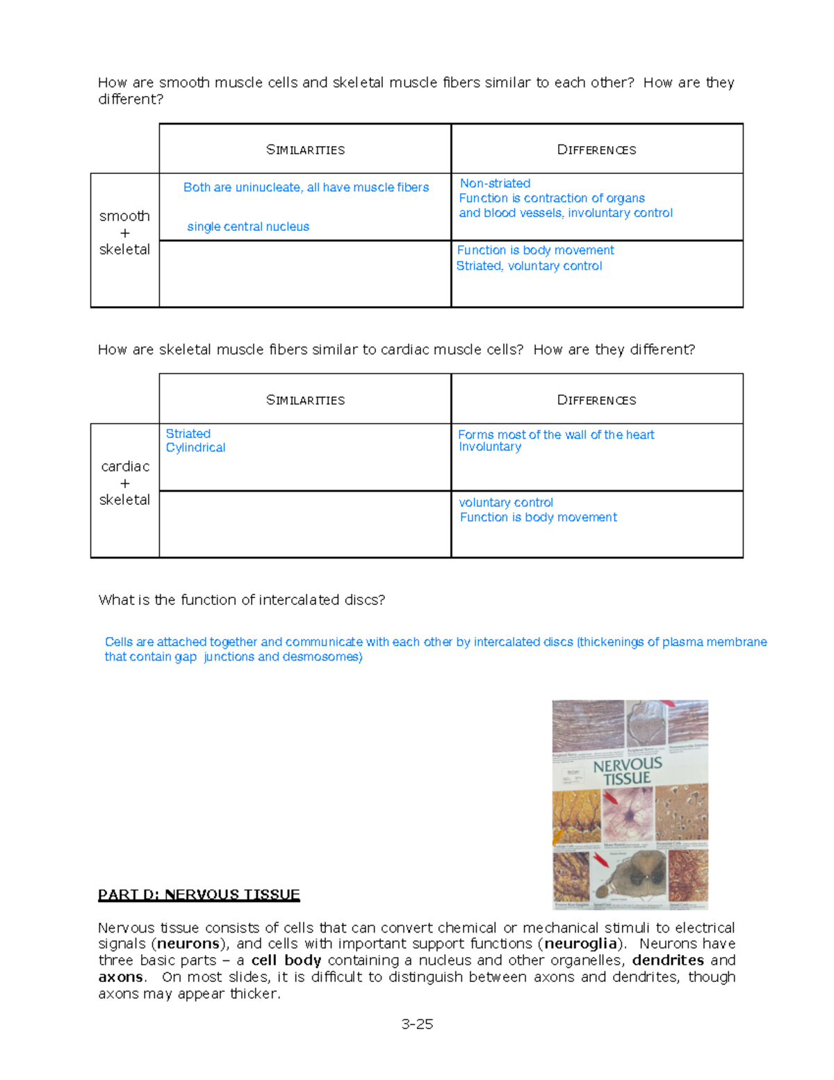 LAB 3 Tissues 7 Lab 3 Answer key 3 How are smooth muscle cells
