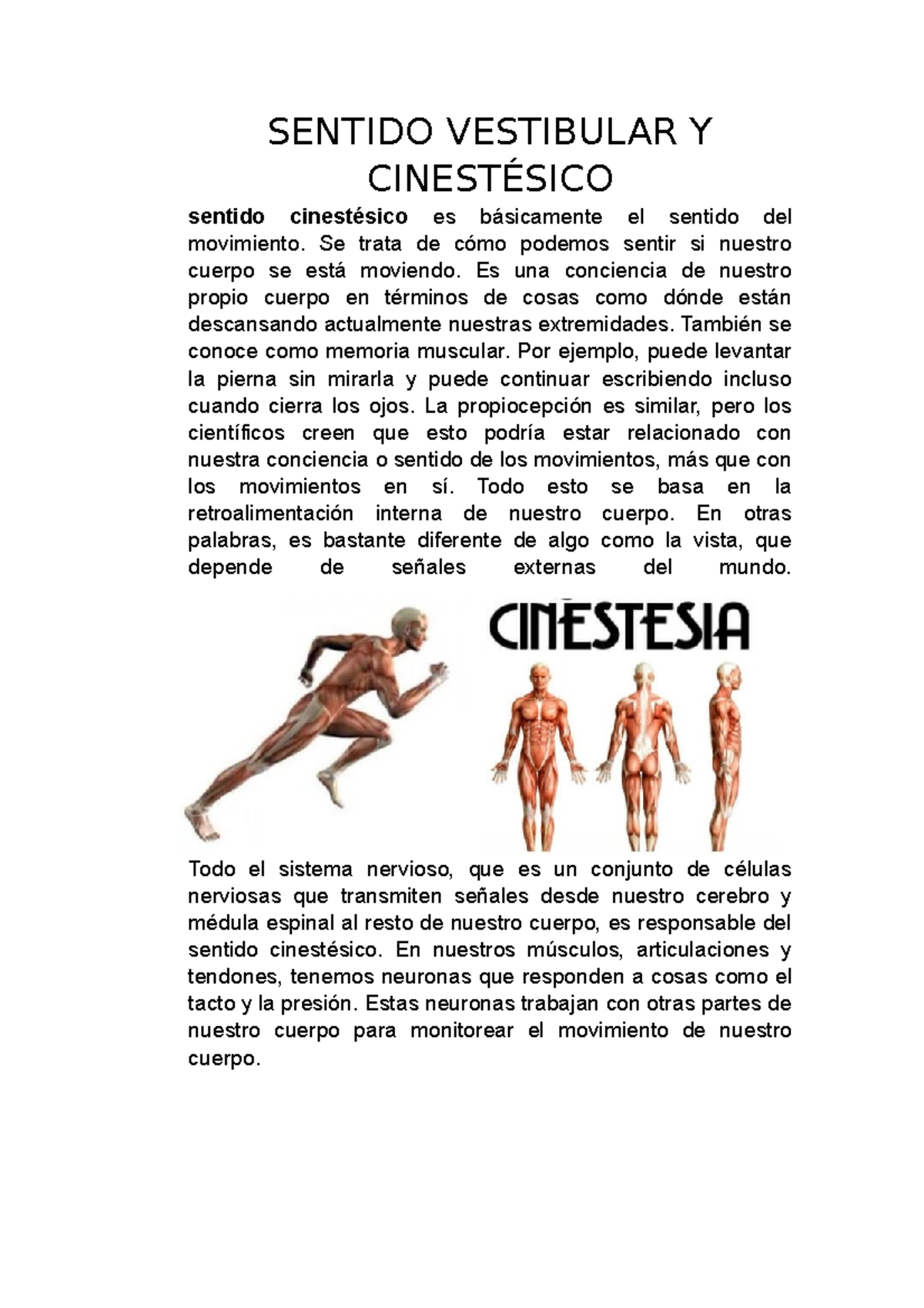 O Que Significa Cinestésico - RETOEDU