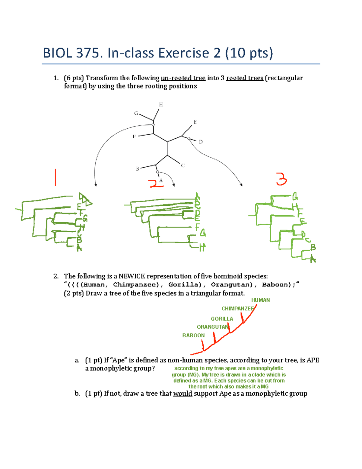 unroot tree to rooted tree - BIOL 790.64 - Hunter College - Studocu