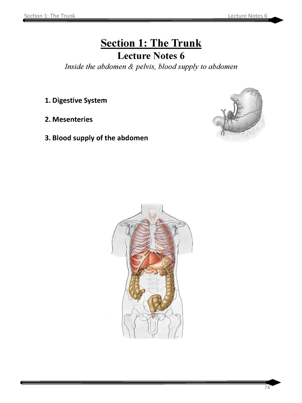 6-Lecture 6 - PDF NOTES - Section 1: The Trunk Lecture Notes 6 Inside ...