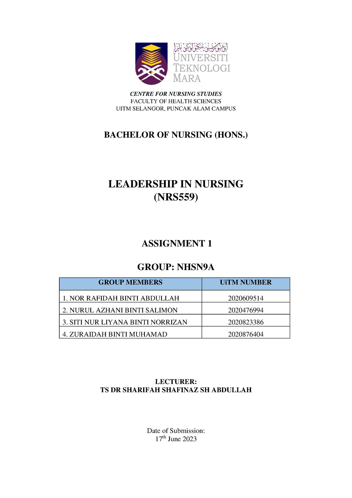 leadership in nursing assignment